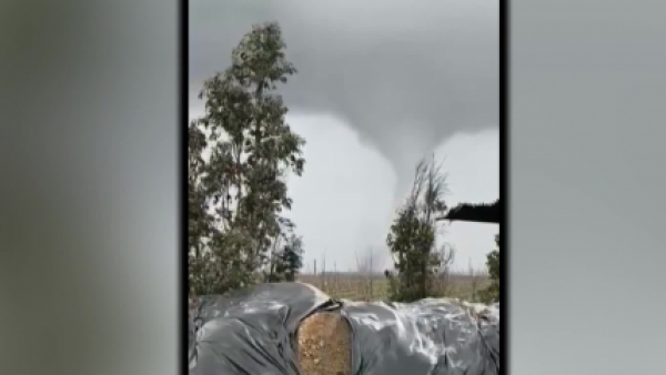 <p>Video muestra impactante tornado en la región de Ñuble</p>Video muestra impactante tornado en la región de Ñuble
