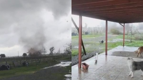 Varios animales salieron volando: El impresionante tornado que alcanzó los 178 km/hr en Ñuble