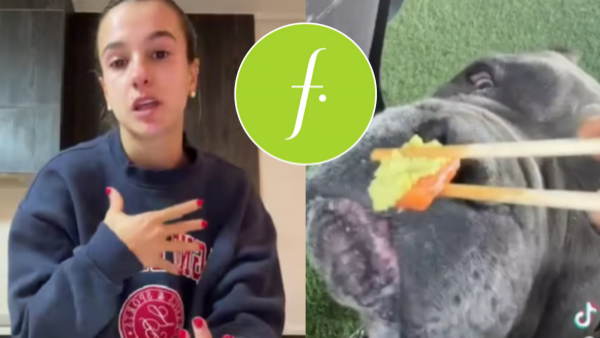 <p>Falabella pone fin a su vínculo con Josefa Sáez en medio de la controversia por maltrato animal</p>Falabella pone fin a su vínculo con Josefa Sáez en medio de la controversia por maltrato animal
