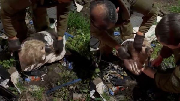 Maldad sin límites: Carabineros rescata a perrito amarrado al interior de un televisor en Curicó
