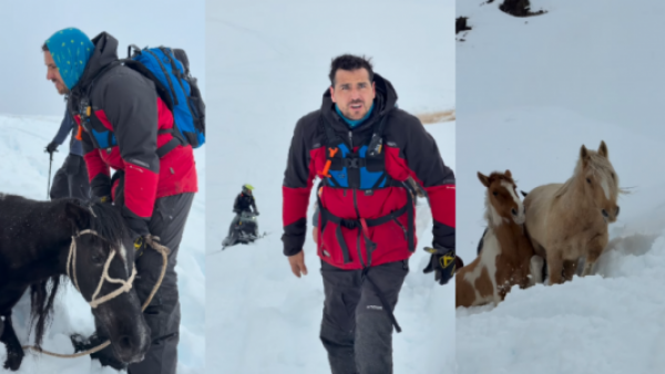 <p>Pangal Andrade lideró el rescate de siete caballos atrapados por la nieve en el Cajón del Maipo</p>Pangal Andrade lideró el rescate de siete caballos atrapados por la nieve en el Cajón del Maipo
