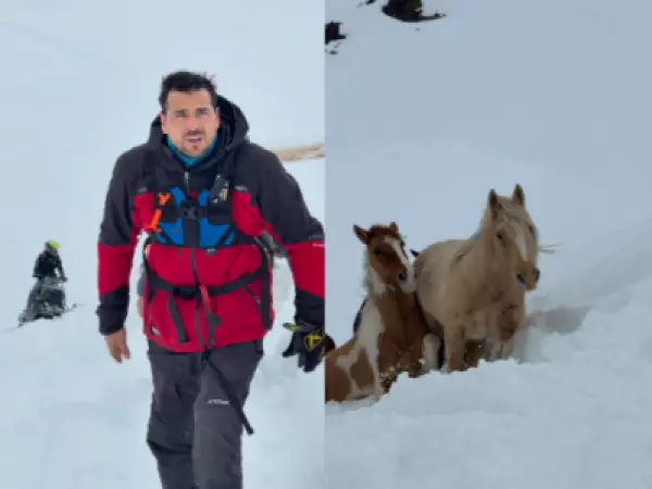 Pangal Andrade lideró el rescate de siete caballos atrapados por la nieve en el Cajón del Maipo
