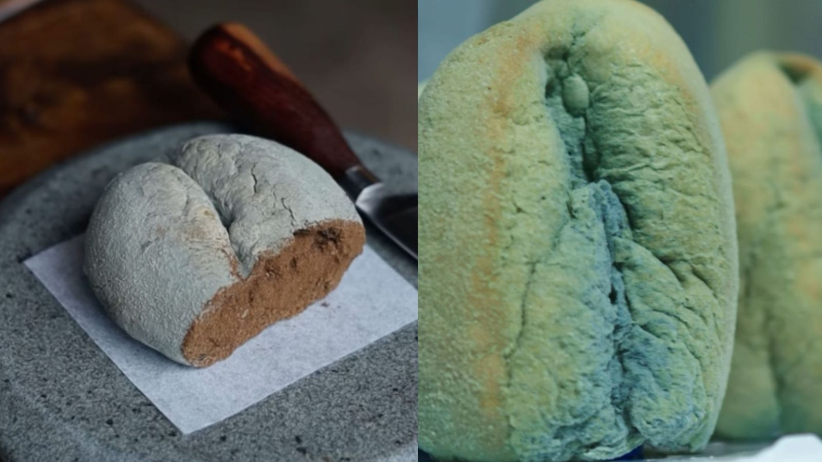 ¿Lo probarías? Restaurante chileno lanza particular postre preparado a base de marraqueta con hongos
