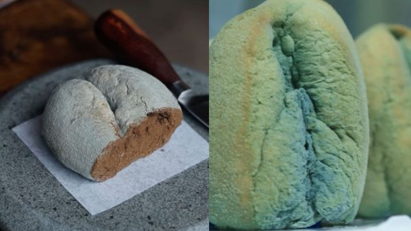 ¿Lo probarías? Restaurante chileno lanza particular postre preparado a base de marraqueta con hongos
