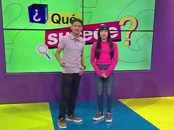 ¿Qué Sucede? Ariana y Vicente