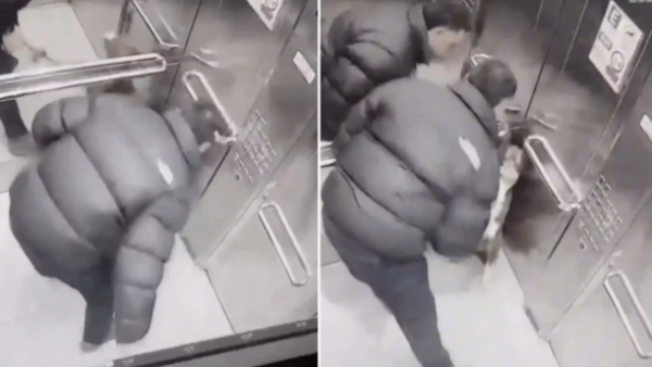 Registran cobarde agresión de hombre a su perro en Ñuñoa: "Es un ataque brutal"
