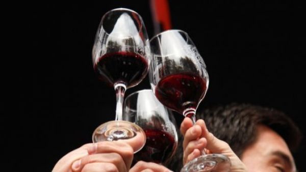 World's 50 Best Vineyards 2026: Santiago será la capital mundial del vino y la gastronomía
