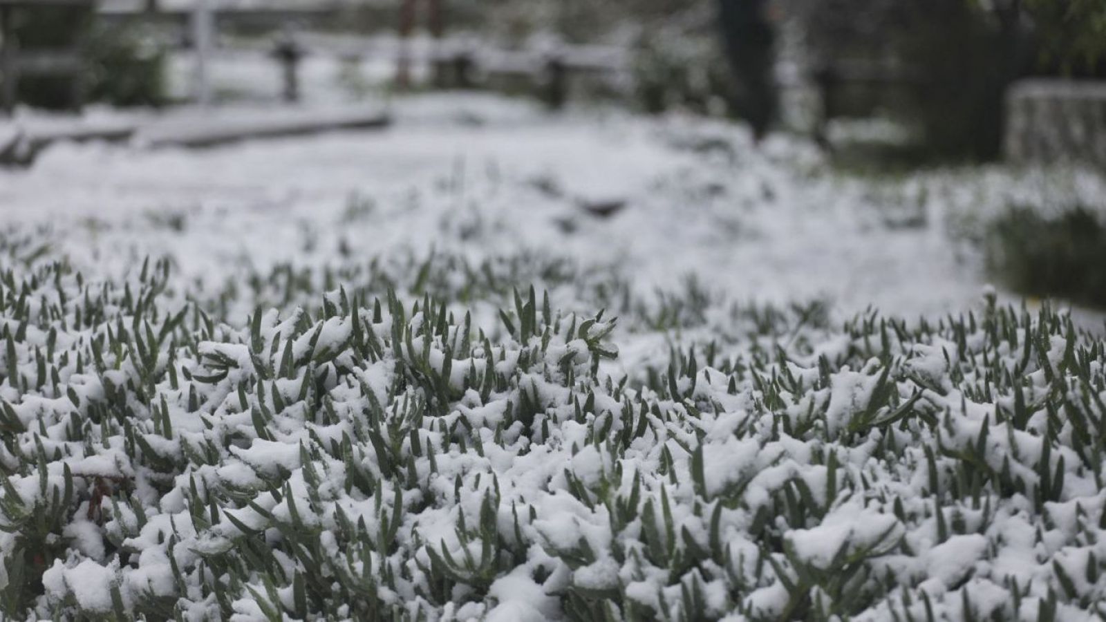 Chile se congela: Ola polar y nieve en el centro-sur
