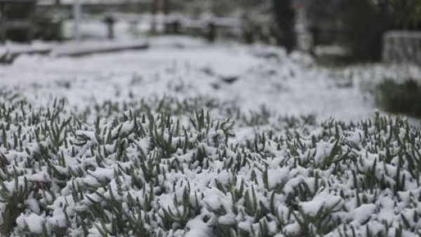 Chile se congela: Ola polar y nieve en el centro-sur
