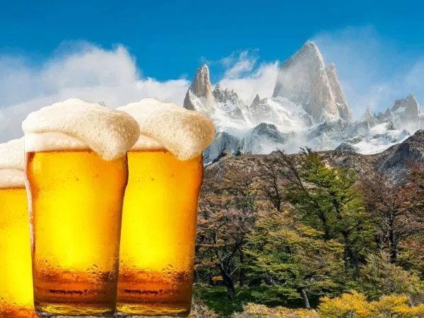 ¿La próxima revolución de la cerveza podría venir de la Patagonia?Destacan el potencial de las levaduras silvestres