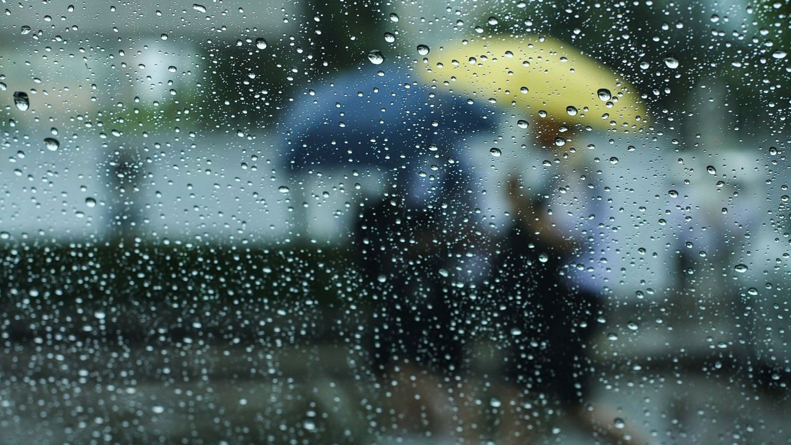 Climatóloga advierte que el fenómeno de “El Niño” podría alcanzar una intensidad muy fuerte
