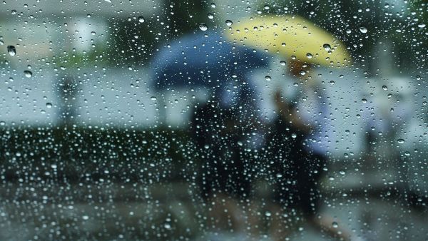 Climatóloga advierte que el fenómeno de “El Niño” podría alcanzar una intensidad muy fuerte
