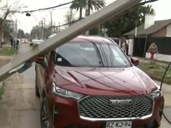 Camión derriba tres postes y conductor se da a la fuga: vecinos lo habrían retenido