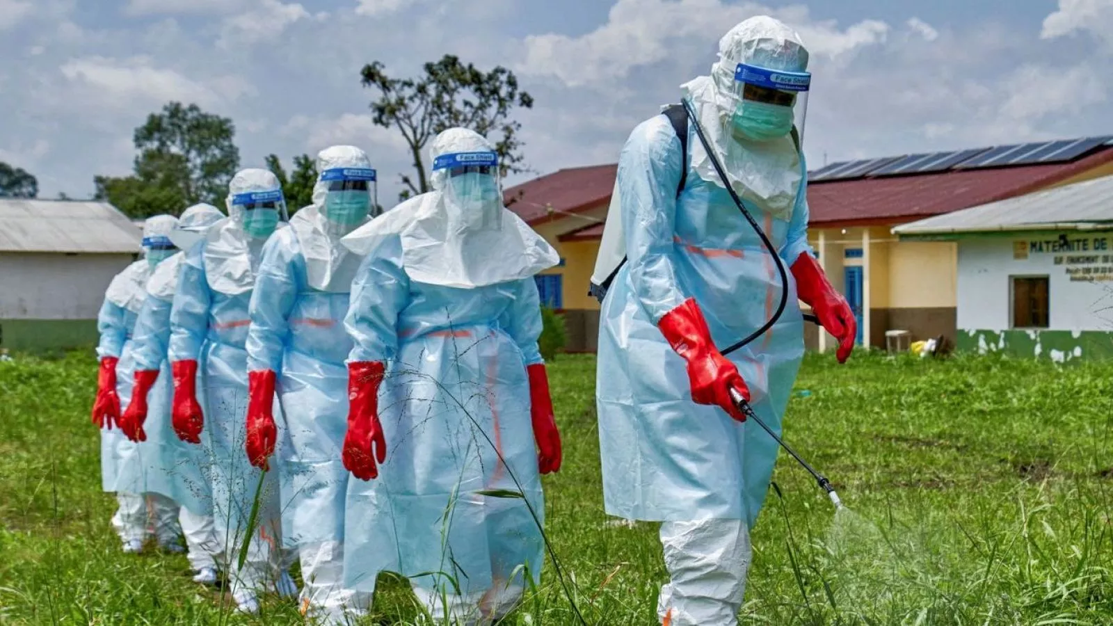 Brote de ébola en el Congo y Uganda se habría provocado por una nueva transmisión desde animales
