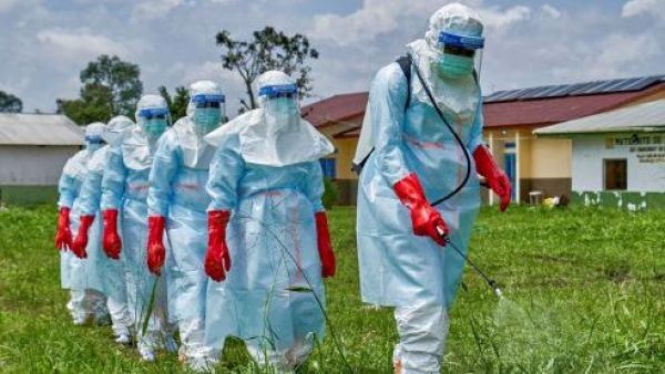 <p>Brote de ébola en el Congo y Uganda se habría provocado por una nueva transmisión desde animales</p>Brote de ébola en el Congo y Uganda se habría provocado por una nueva transmisión desde animales
