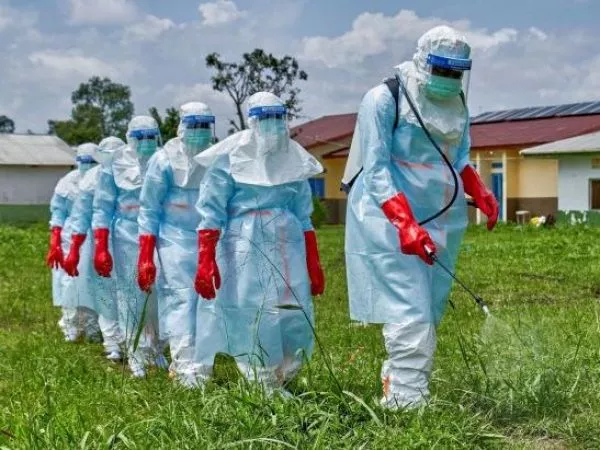 Brote de ébola en el Congo y Uganda se habría provocado por una nueva transmisión desde animales