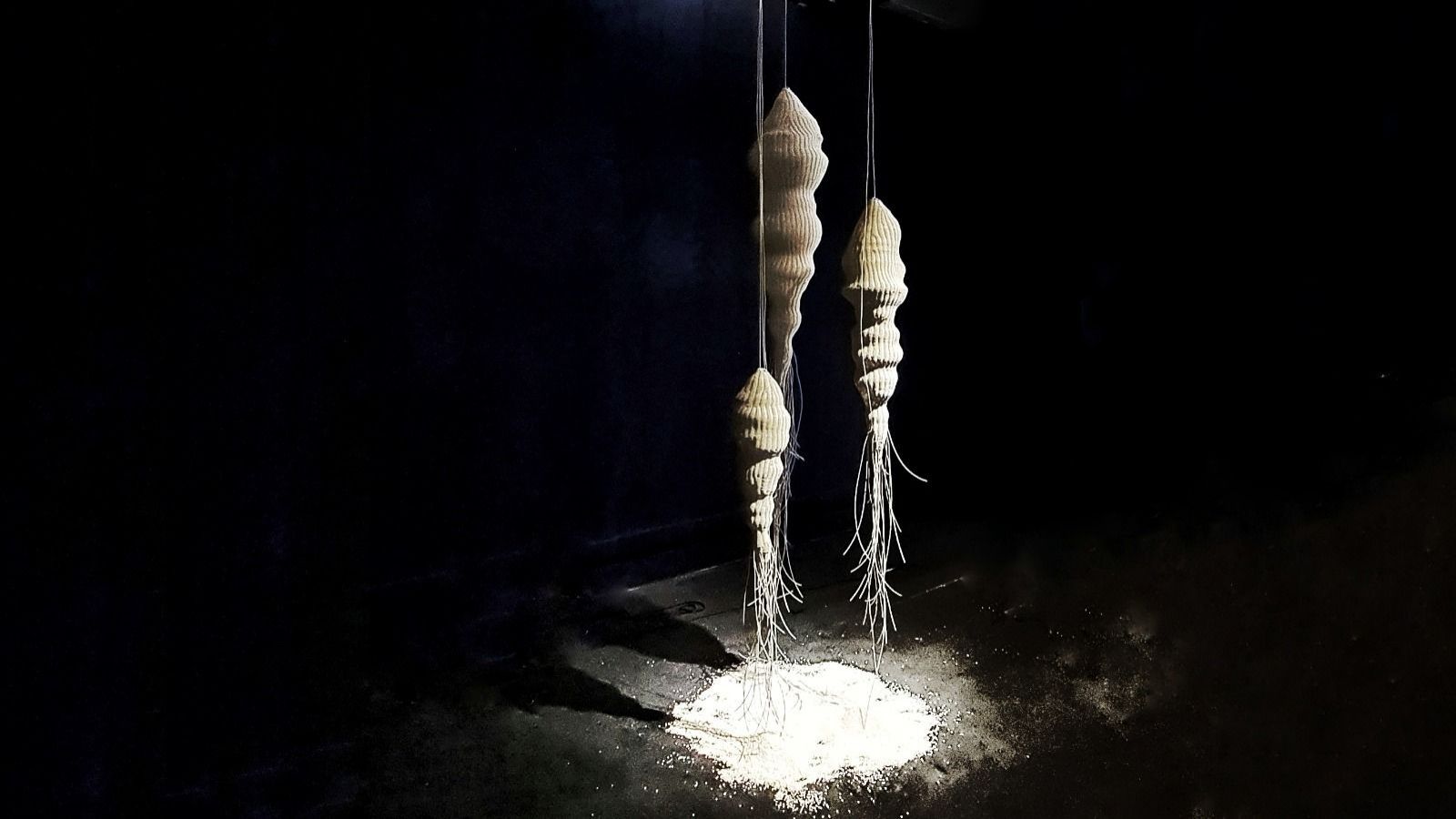 Metamorfosis del jardín: una exposición que explora el vínculo entre naturaleza, cuerpo y creación
