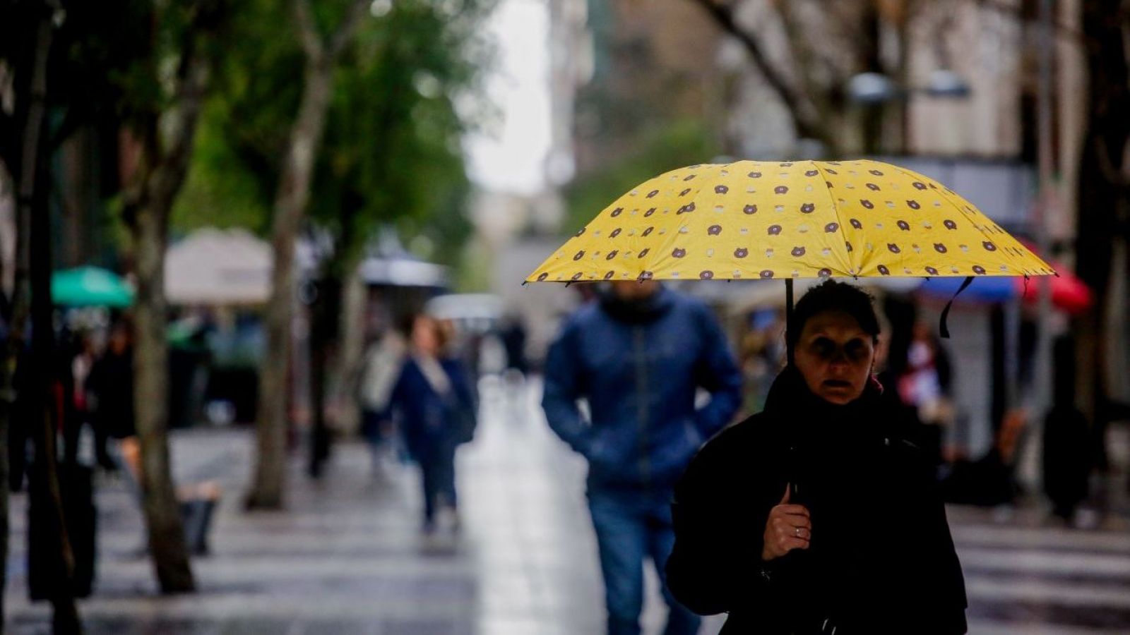 <p>Santiago se prepara para tres jornadas de lluvia y temperaturas bajo los 16°C</p>
