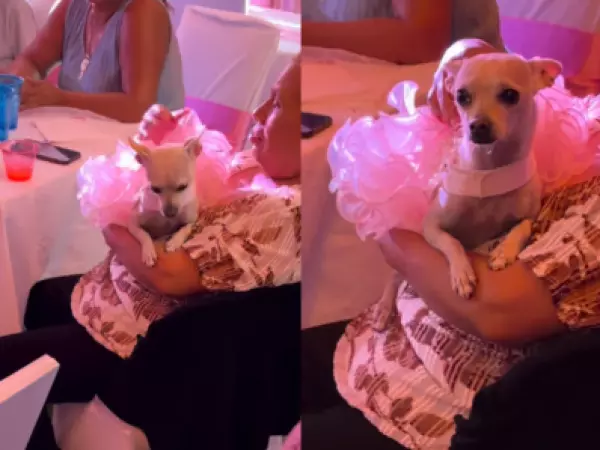 Se hizo viral: familia celebró una fiesta de 