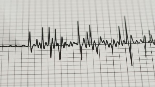 ¡No paró de temblar! Nueve sismos se registraron en menos de dos horas frente a las costas de Valparaíso
