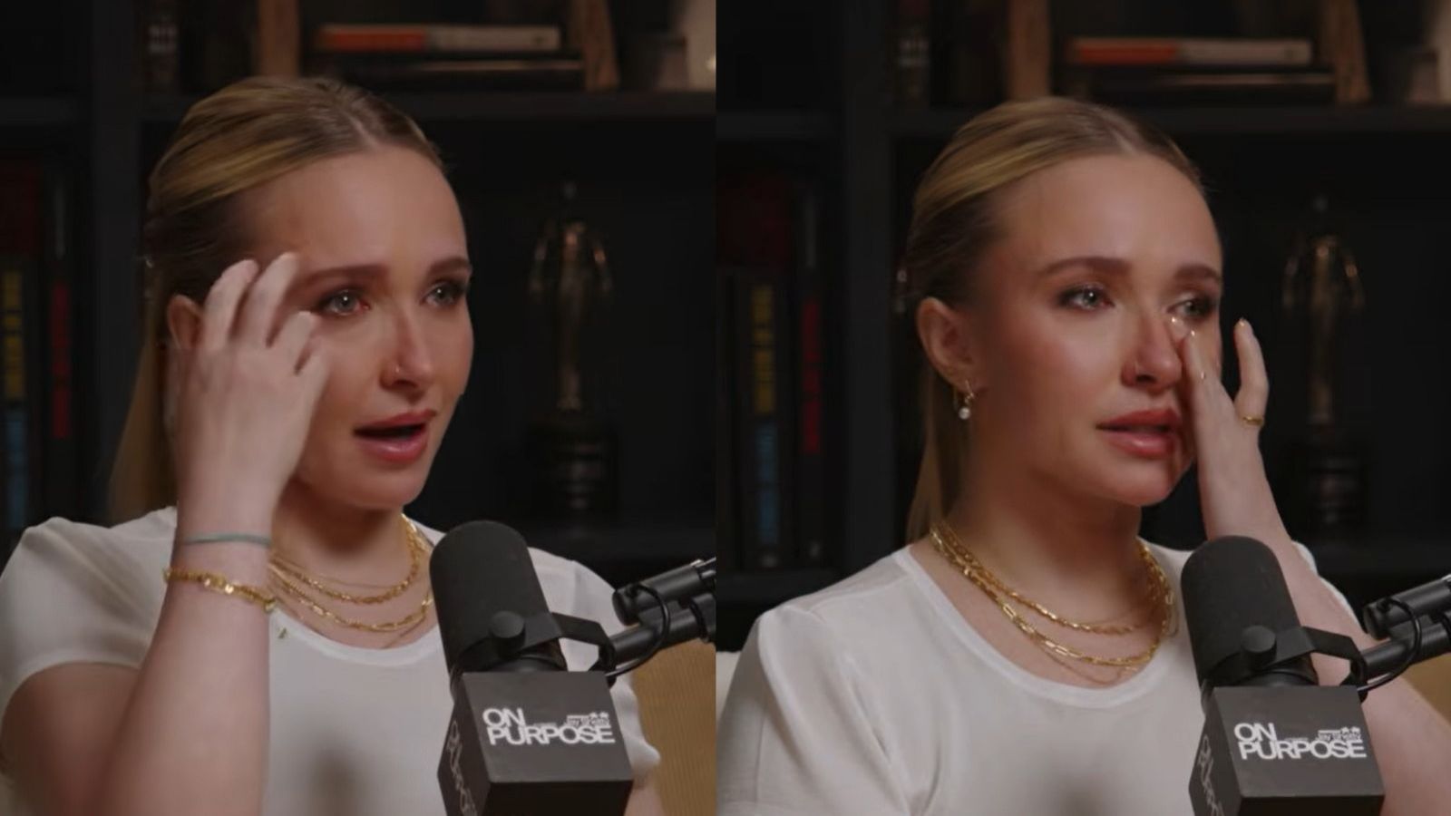<p>Hayden Panettiere reveló traumáticas experiencias en Hollywwod antes de su muerte</p>
