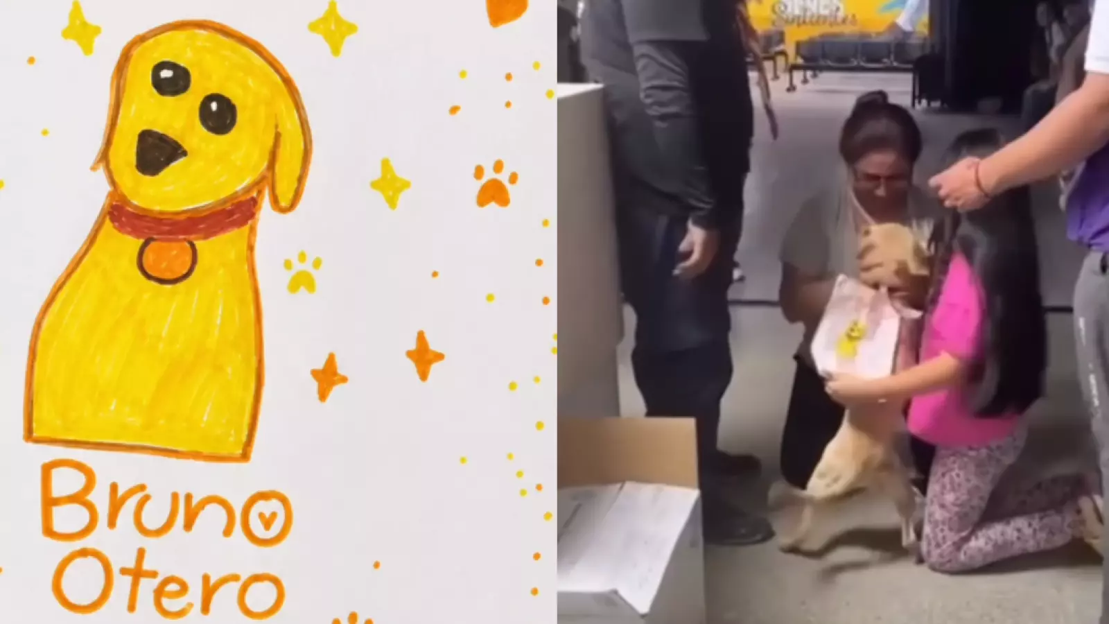 Niña perdió a su perro tras el terremoto en Colombia y su dibujo ayudó a encontrarlo