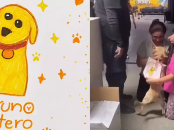 Niña perdió a su perro tras el terremoto en Colombia y su dibujo ayudó a encontrarlo