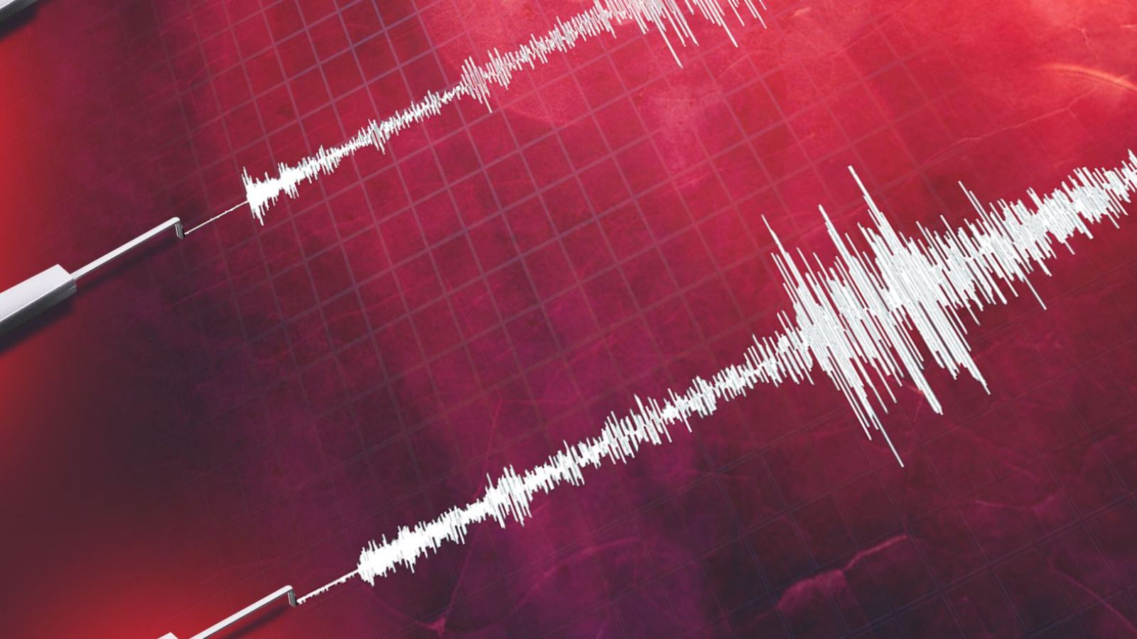 Fuerte terremoto remeció el este de Japón: 23 personas resultaron heridas
