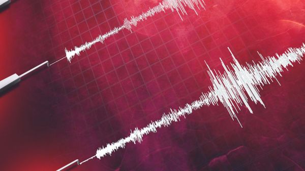 Fuerte terremoto remeció el este de Japón: 23 personas resultaron heridas
