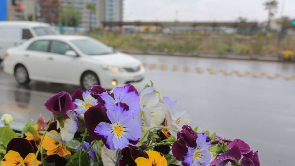 ¿Primavera pasada por agua? Pronóstico anticipa más lluvias y temperaturas elevadas
