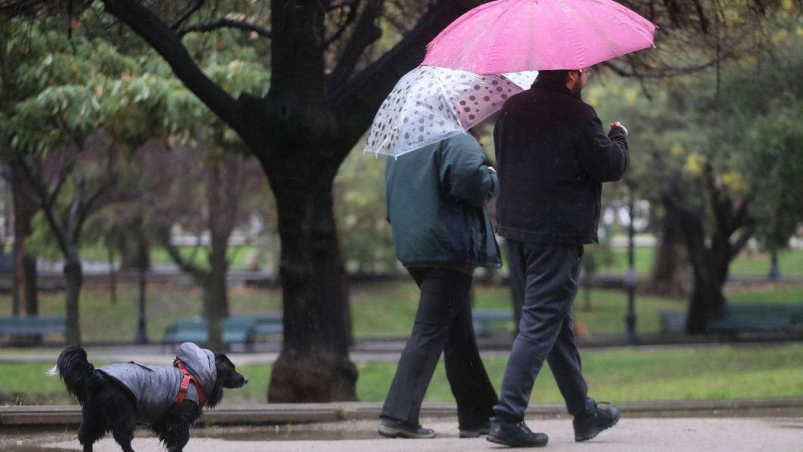 <p>Sistema frontal dejará nuevas lluvias en Santiago: revisa cuándo comenzarán las precipitaciones</p>
