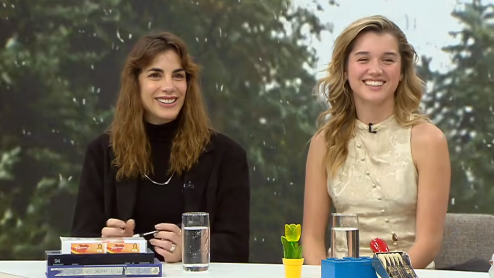 <p> Fernanda Finsterbusch y Carmen Zabala en El Medio Día</p>El Medio Día - Martes 25 de agosto 2026
