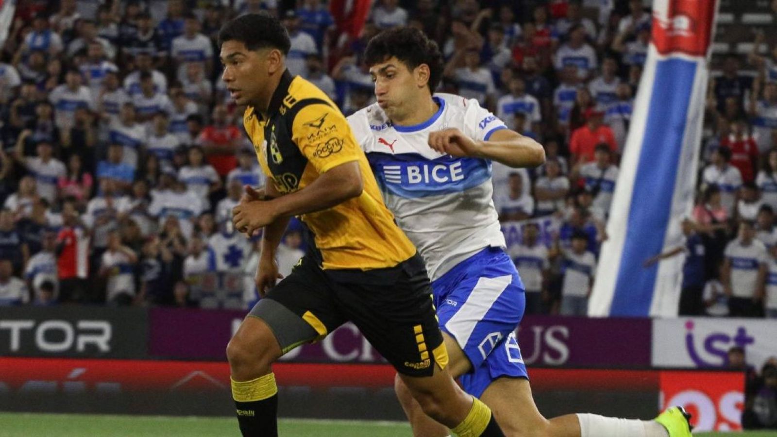 Coquimbo Unido vs. Universidad Católica, Liga de Primera: Sigue aquí en VIVO el partido
