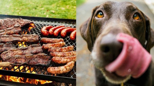<p>Fiestas Patrias y mascotas: los alimentos que pueden poner en riesgo su salud</p>Fiestas Patrias y mascotas: los alimentos que pueden poner en riesgo su salud
