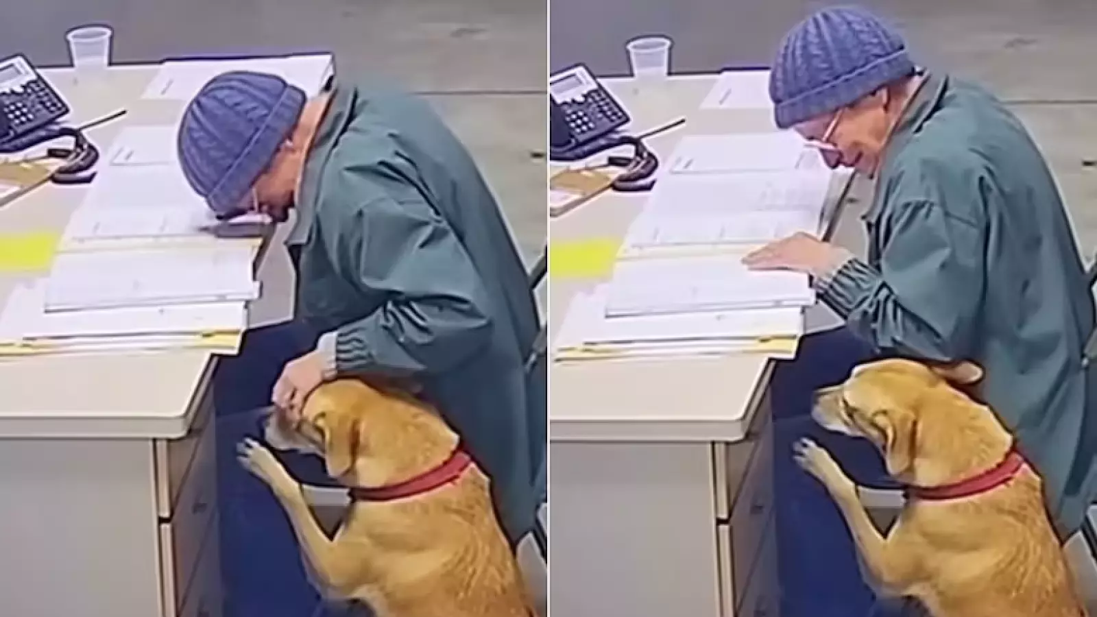 La dolorosa despedida de una mujer a su perro tras no poder cuidarlo más