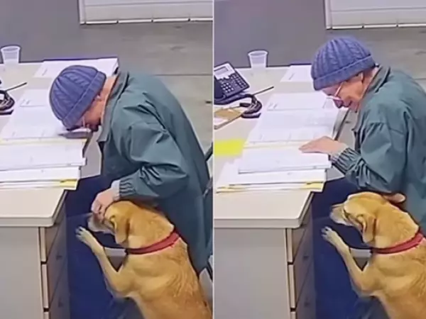 La dolorosa despedida de una mujer a su perro tras no poder cuidarlo más