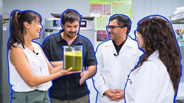 Boldo bajo la lupa: La ciencia revela sus sorprendentes efectos sobre las neuronas y el hígado | Tesoros Naturales -T2E5