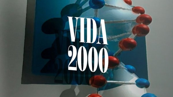 Vida 2000