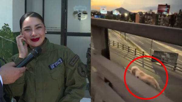 Héroe del día: carabinera rescató a perrito en plena autopista