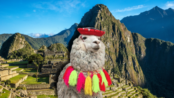 <p>Nuevas reglas para visitar Machu Picchu: cambian compra y uso de entradas</p>Nuevas reglas para visitar Machu Picchu: cambian compra y uso de entradas
