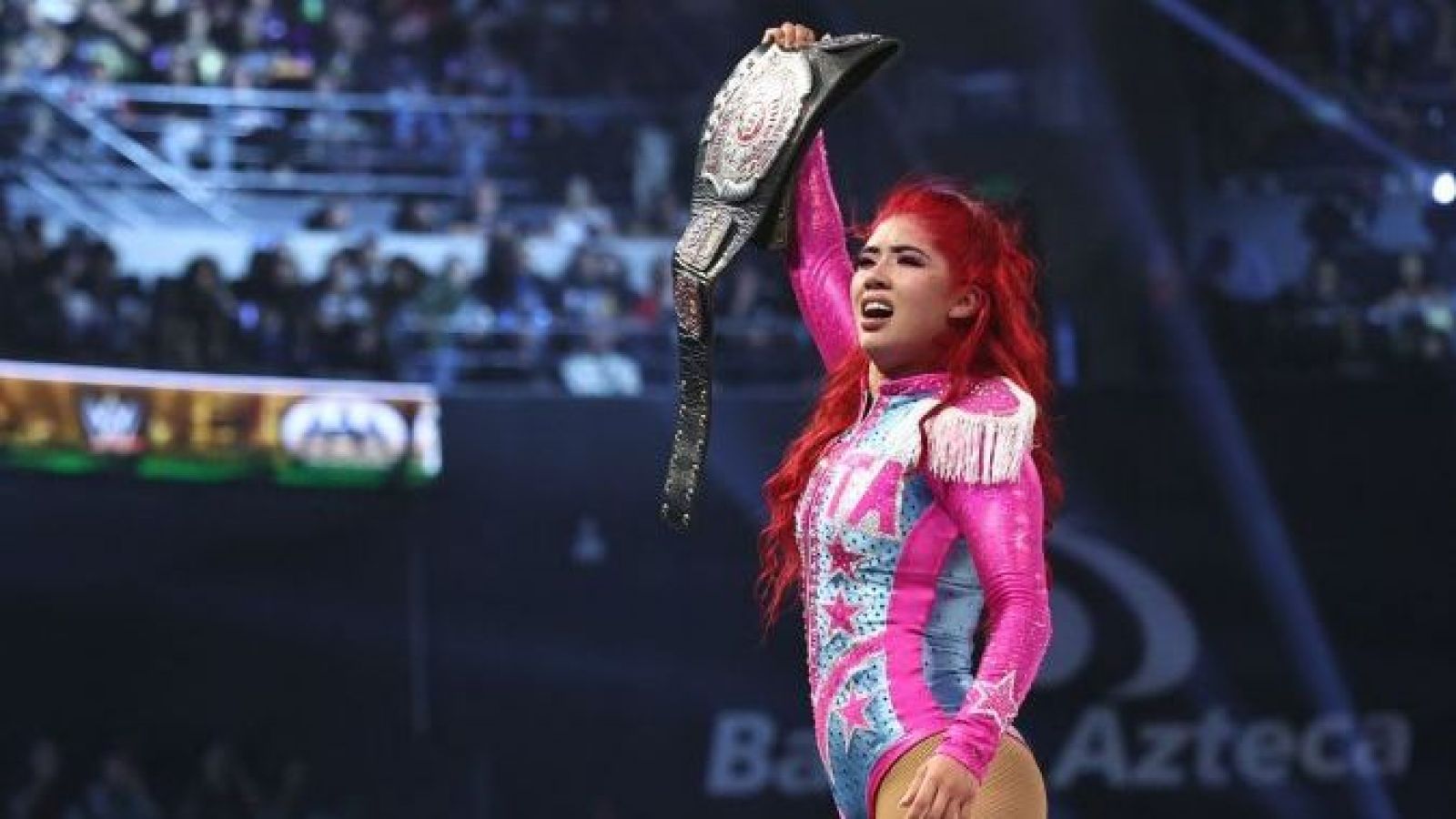 <p>La Catalina debutará en RAW en busca de la clasificación a Money in the Bank</p>
