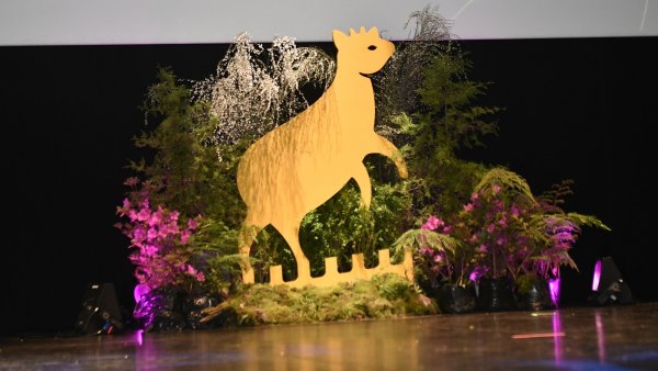 El Festival de Cine de Valdivia se apresta a subir el telón