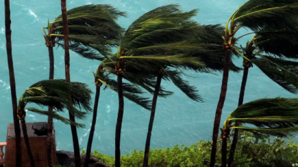 <p>El Niño cambia a huracanes, tifones y ciclones en todo el planeta</p>