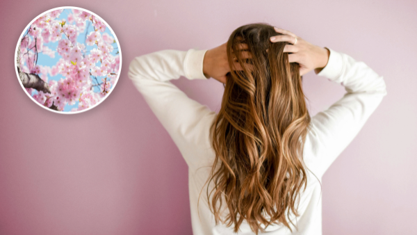<p>¿Se te cae más el pelo en primavera? Cuando es normal y cuándo no</p>
