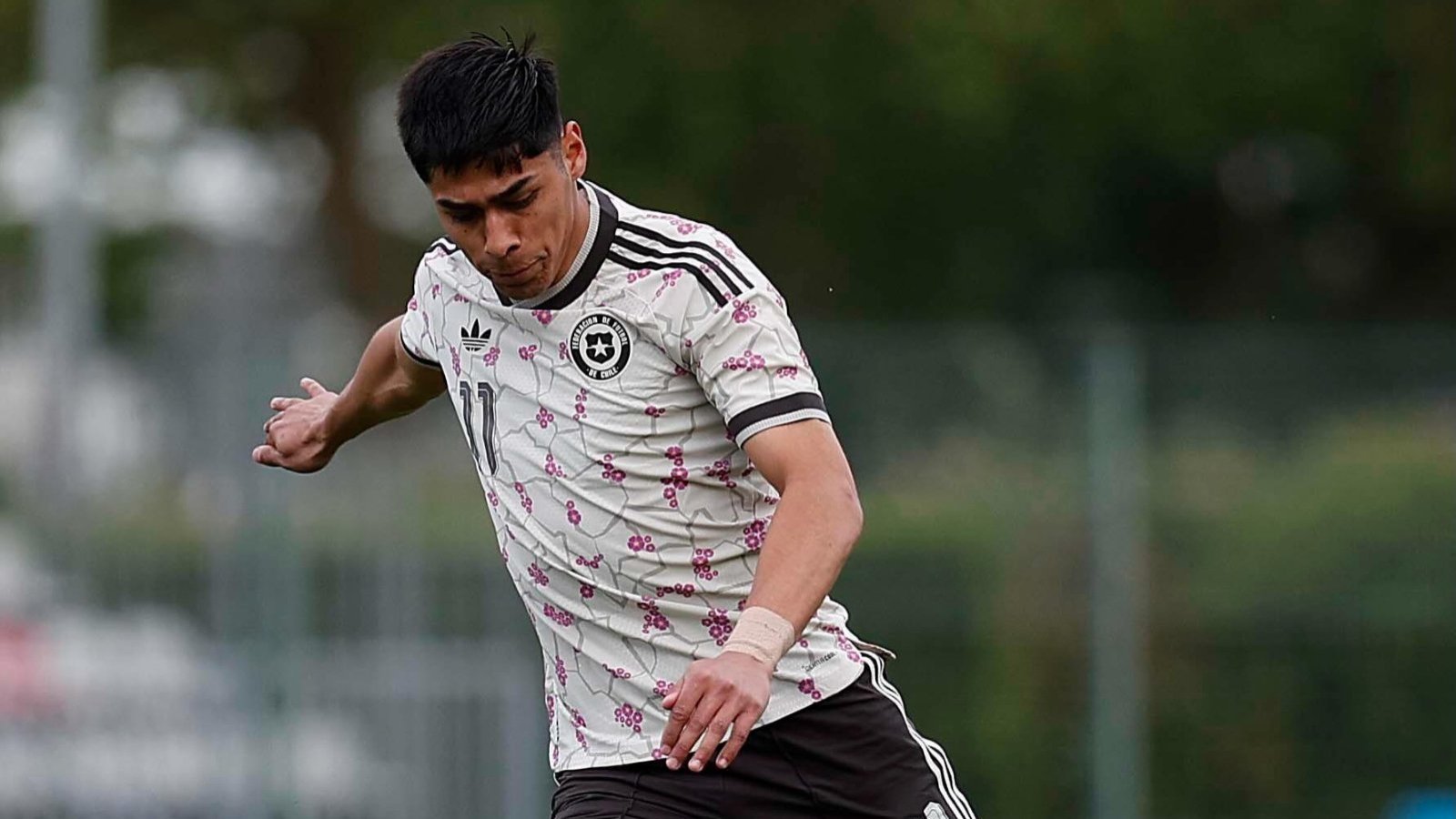 Canadá vs. Chile: sigue aquí EN VIVO y ONLINE el amistoso de la Roja
