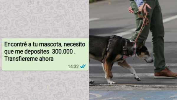 <p>PDI alerta por nueva estafa con mascotas perdidas: así operan los delincuentes</p>