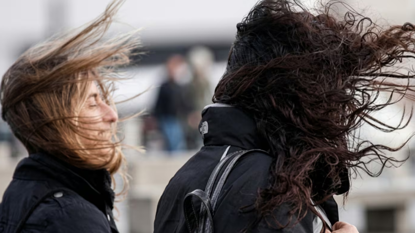 <p>Viento de hasta 70 km/h: DMC emite aviso para siete regiones de Chile</p>
