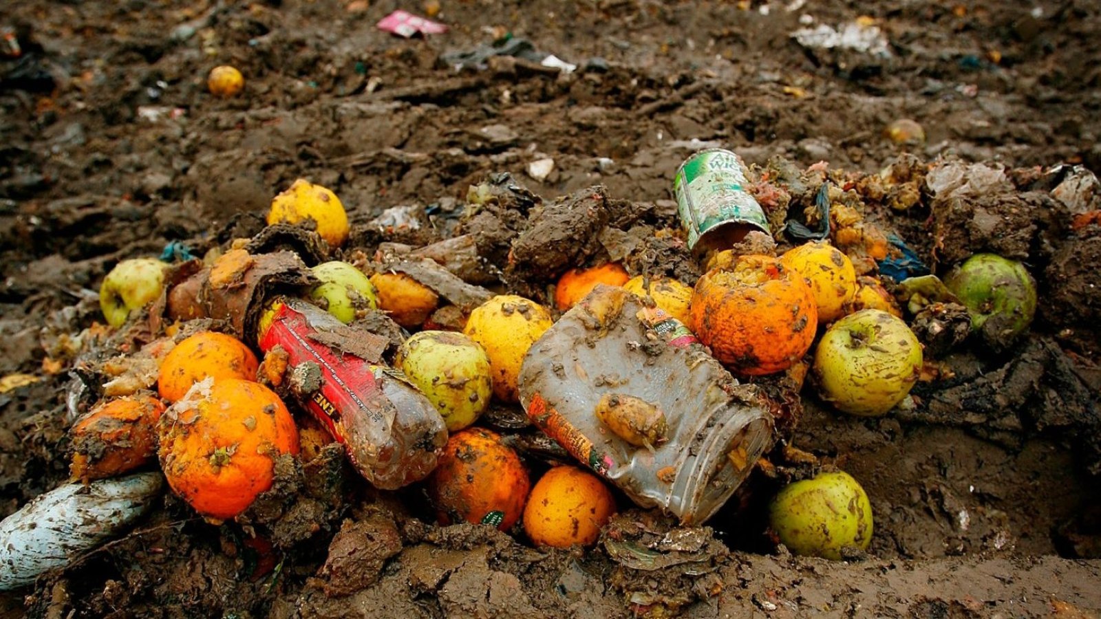 <p>Académica U. de Chile advierte que más de 1.000 millones de toneladas de alimentos se botan cada año</p>
