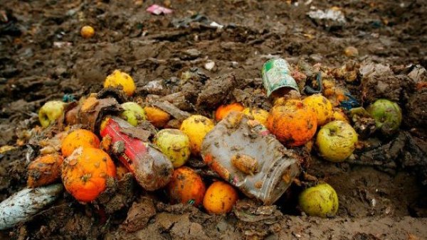 <p>Académica U. de Chile advierte que más de 1.000 millones de toneladas de alimentos se botan cada año</p>