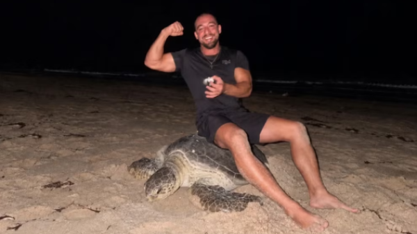 <p>Influencer desata críticas tras sentarse sobre tortuga marina que ponía huevos </p>